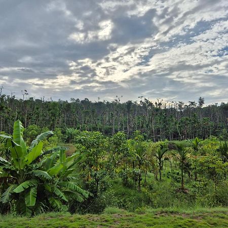 Estate Mane Villa Hanbal ภายนอก รูปภาพ