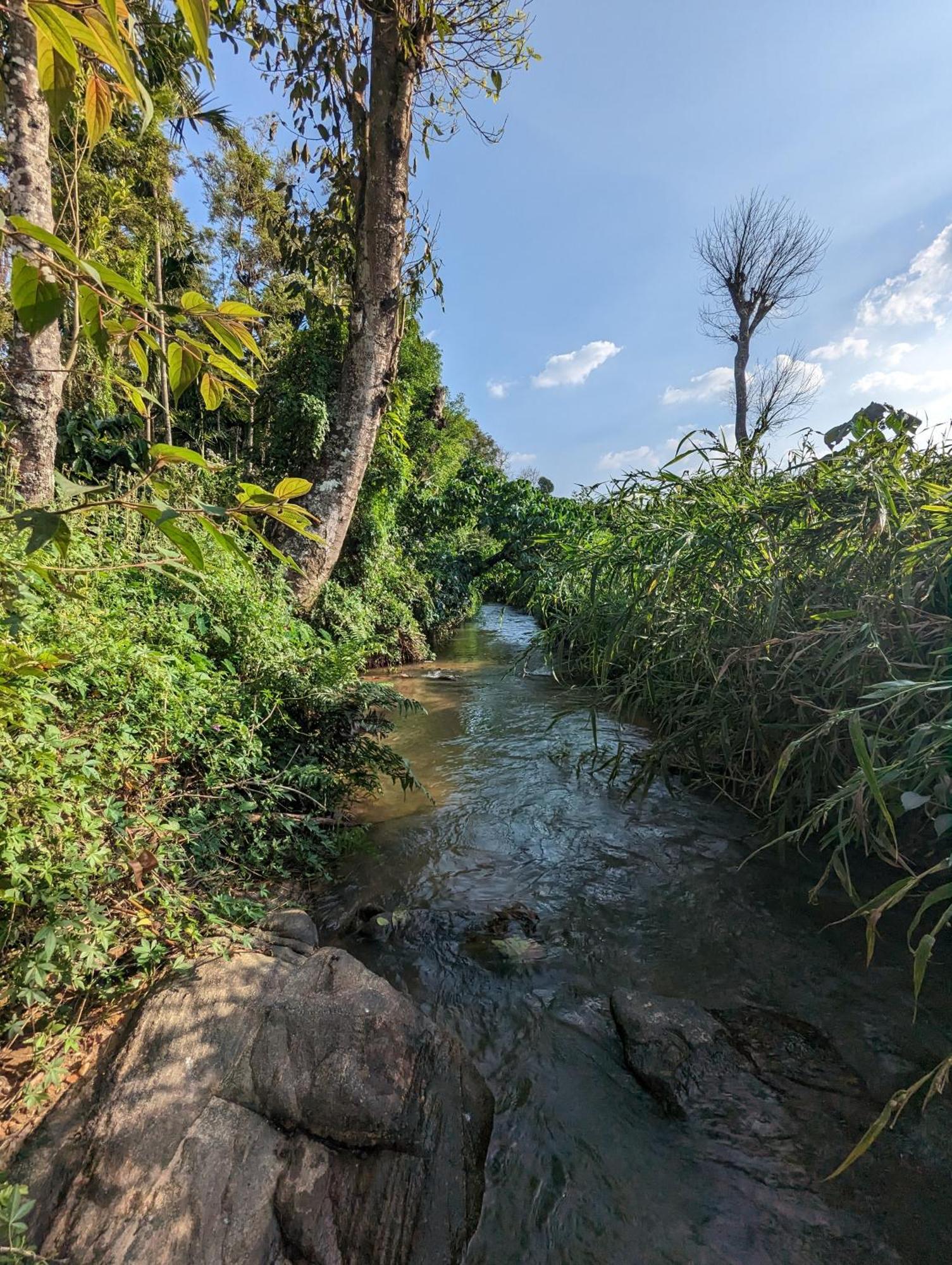 Estate Mane Villa Hanbal ภายนอก รูปภาพ