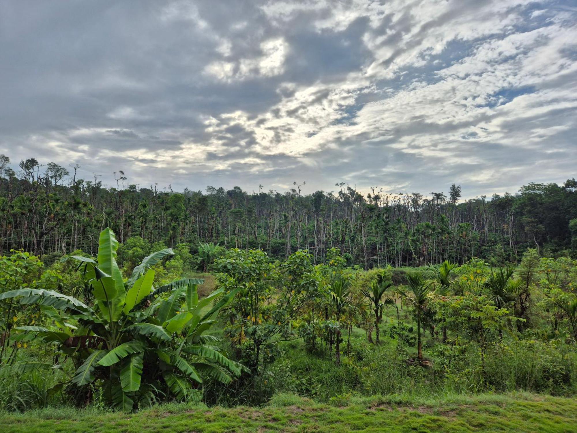 Estate Mane Villa Hanbal ภายนอก รูปภาพ